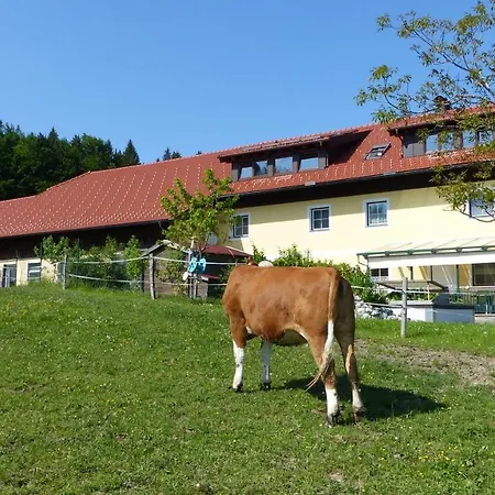 Ferienwohnung Steger Mattsee Buitenkant foto