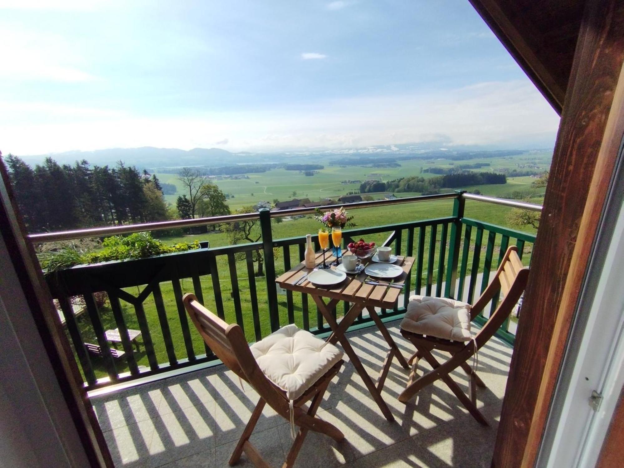 Apartment Steger Mattsee